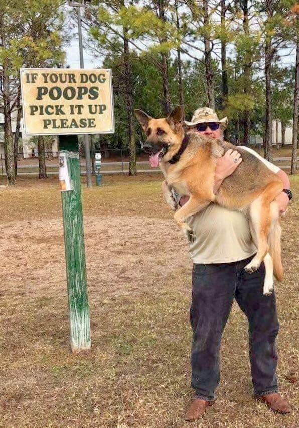 A person humorously carries a German Shepherd dog near a sign instructing dog owners to clean up after their pets.