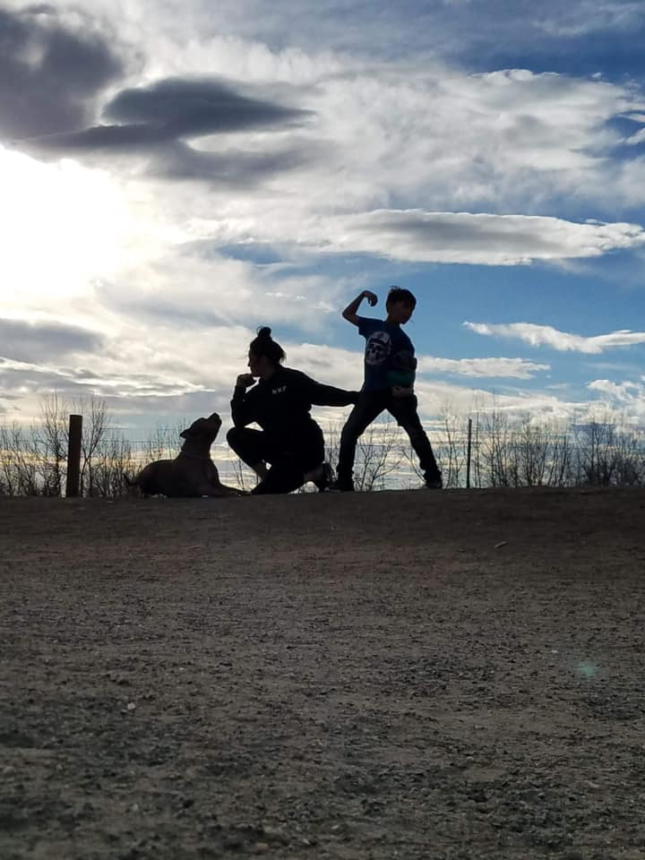 dog-poop-service-denver