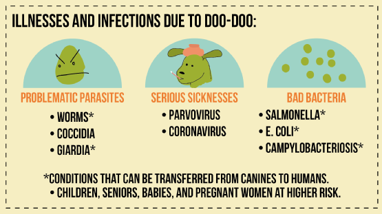 dog poop facts