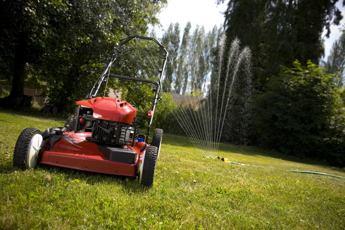 denver-pooper-scooper-service-yard-work-2_orig