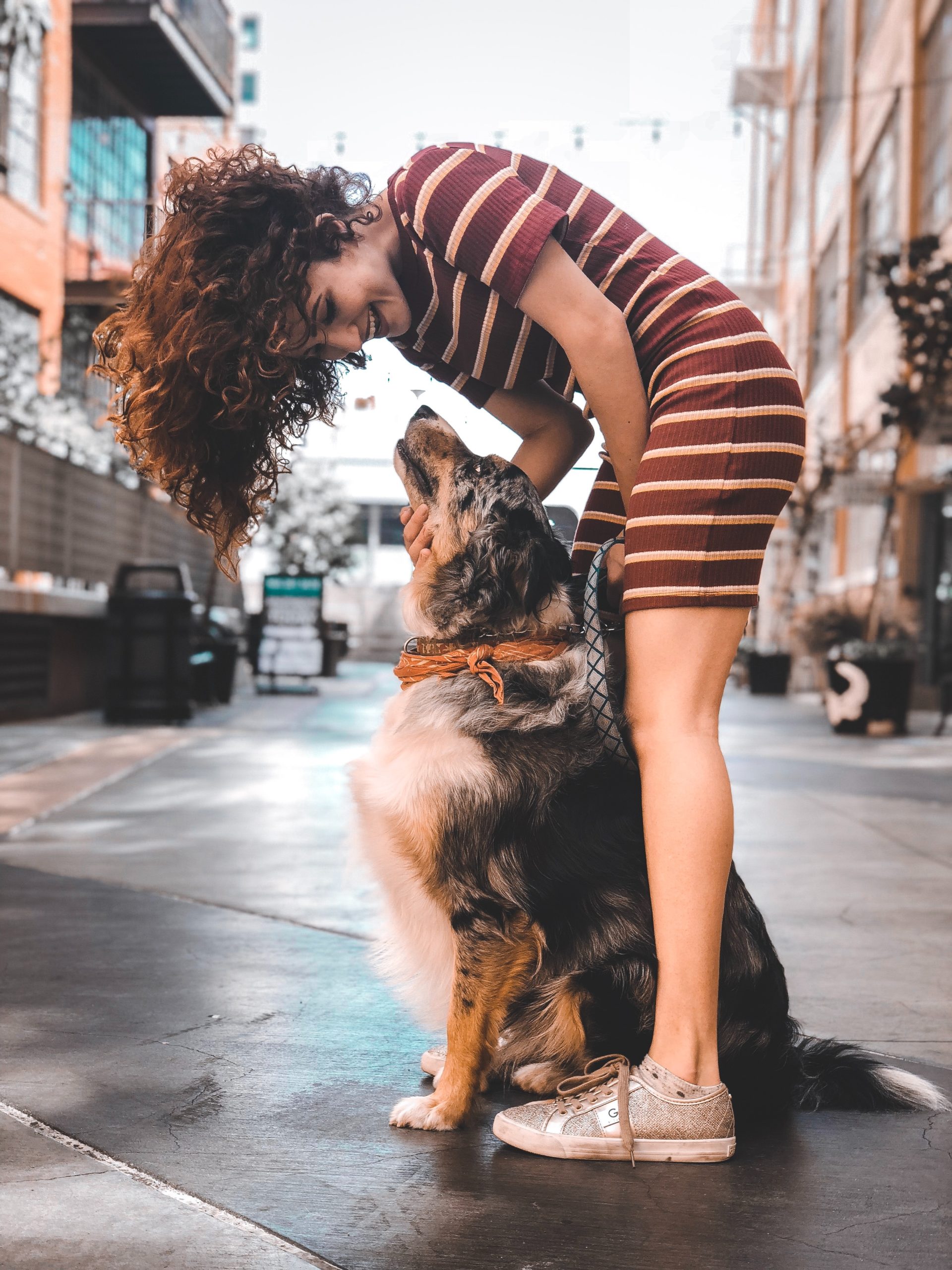 dog poop cleaner littleton