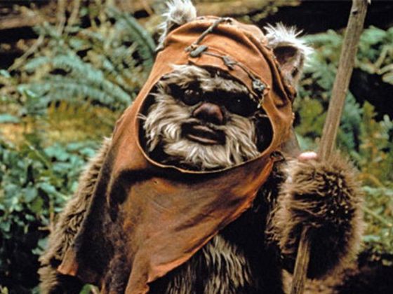 A costumed character resembling a small, furry creature with a hood in a forest setting, likely an Ewok from Star Wars.