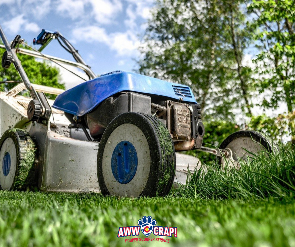 lawn-care