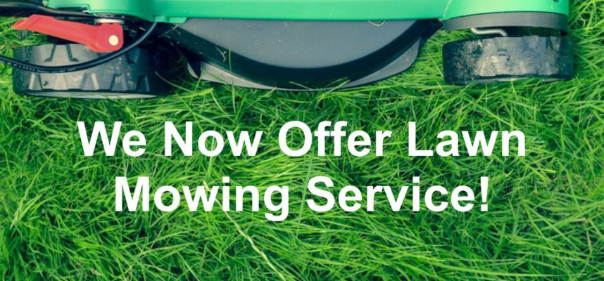 Lawn Service near Me - Berns Landscaping