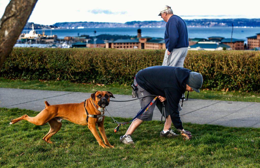 - Pooper Scooper Service | Lawn Mowing Service A person is bending down to clean up after a dog with a leash, while another person walks in the background with a sea view.