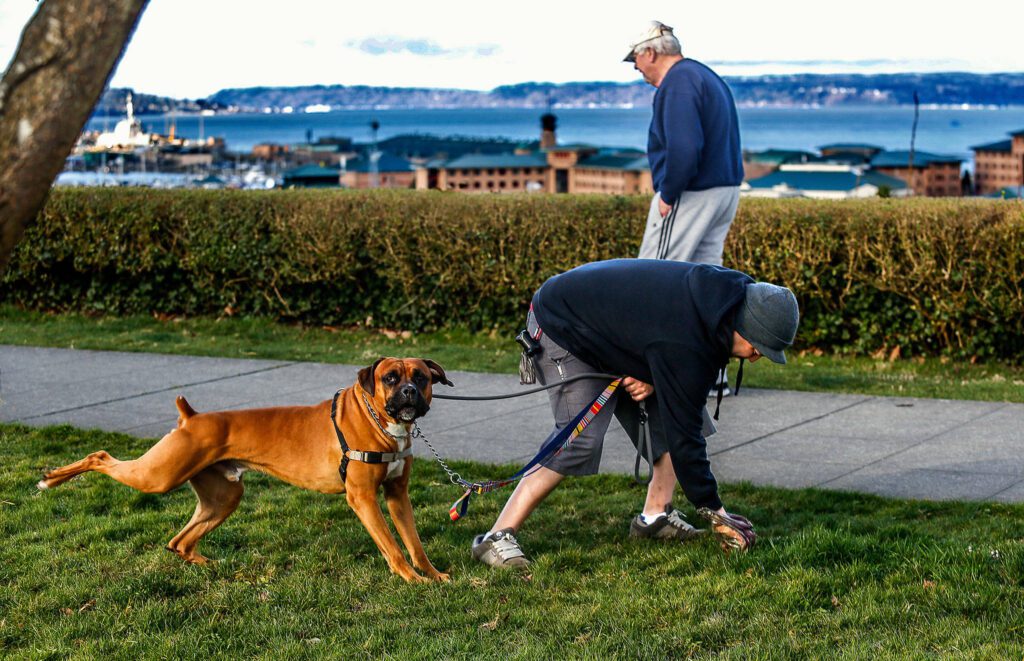 A person is bending down to clean up after a dog with a leash, while another person walks in the background with a sea view.