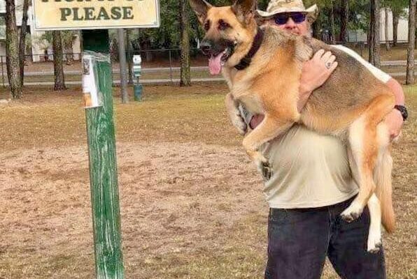 parker Dog Waste Services