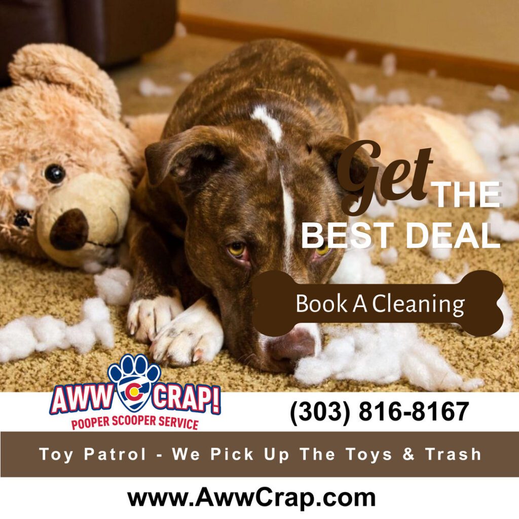 Arvada CO Pooper Scooper Service, Dog Poop Cleaning Service Dog Poop Removal