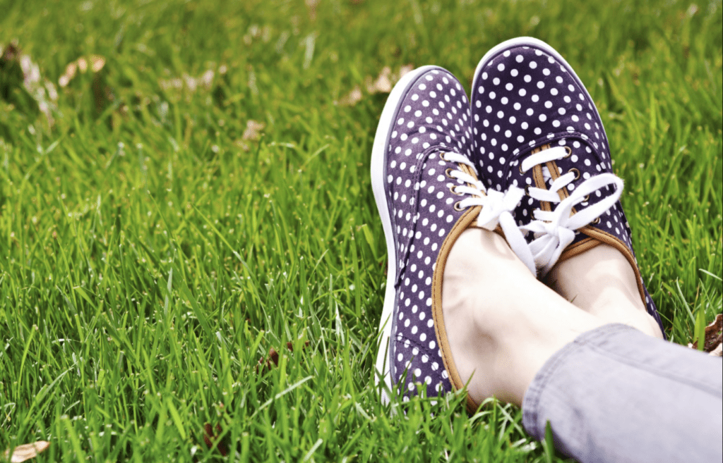 Natural Odor Spray For Dogs Natural Odor Spray For Dogs