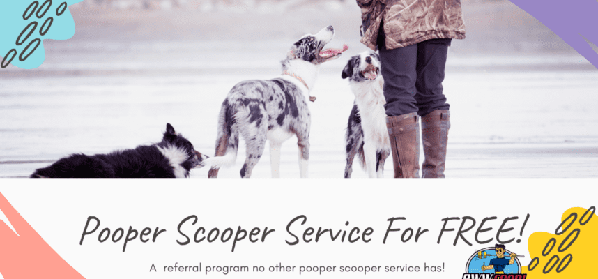 Get your pooper scooper service for free