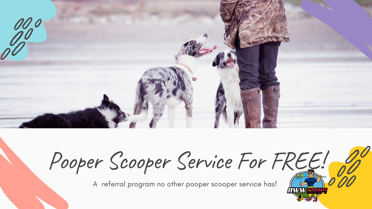 How To Get Your Pooper Scooper Service For FREE! Referral Program