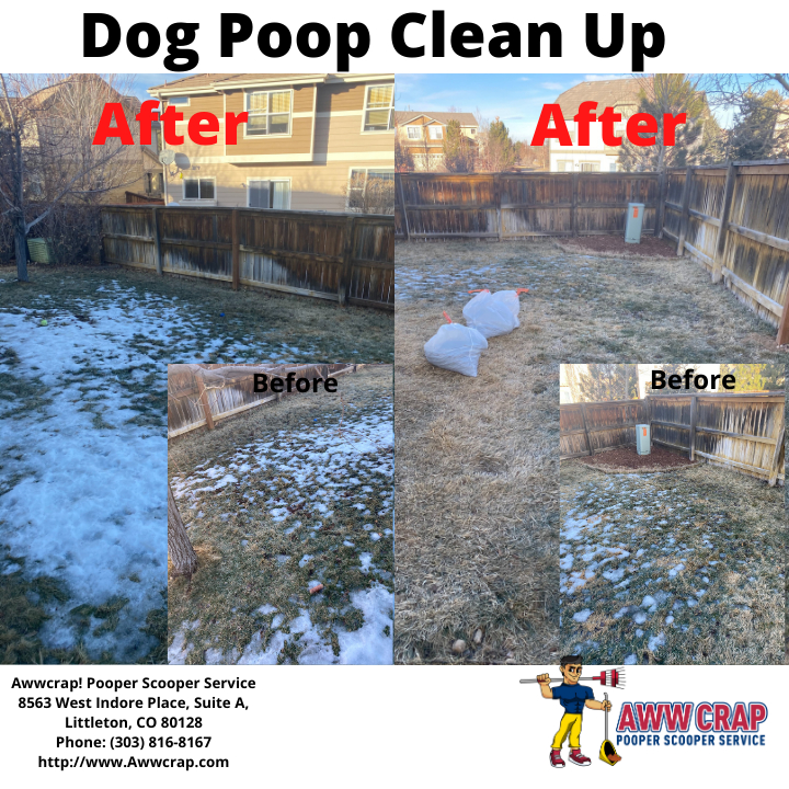 Dog Poop Clean Up Service