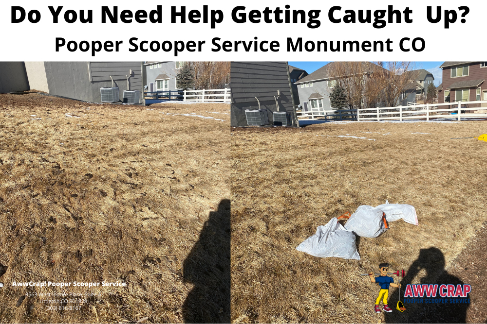 Monument Co Pooper Scooper Service Dog Poop Removal Service Pooper