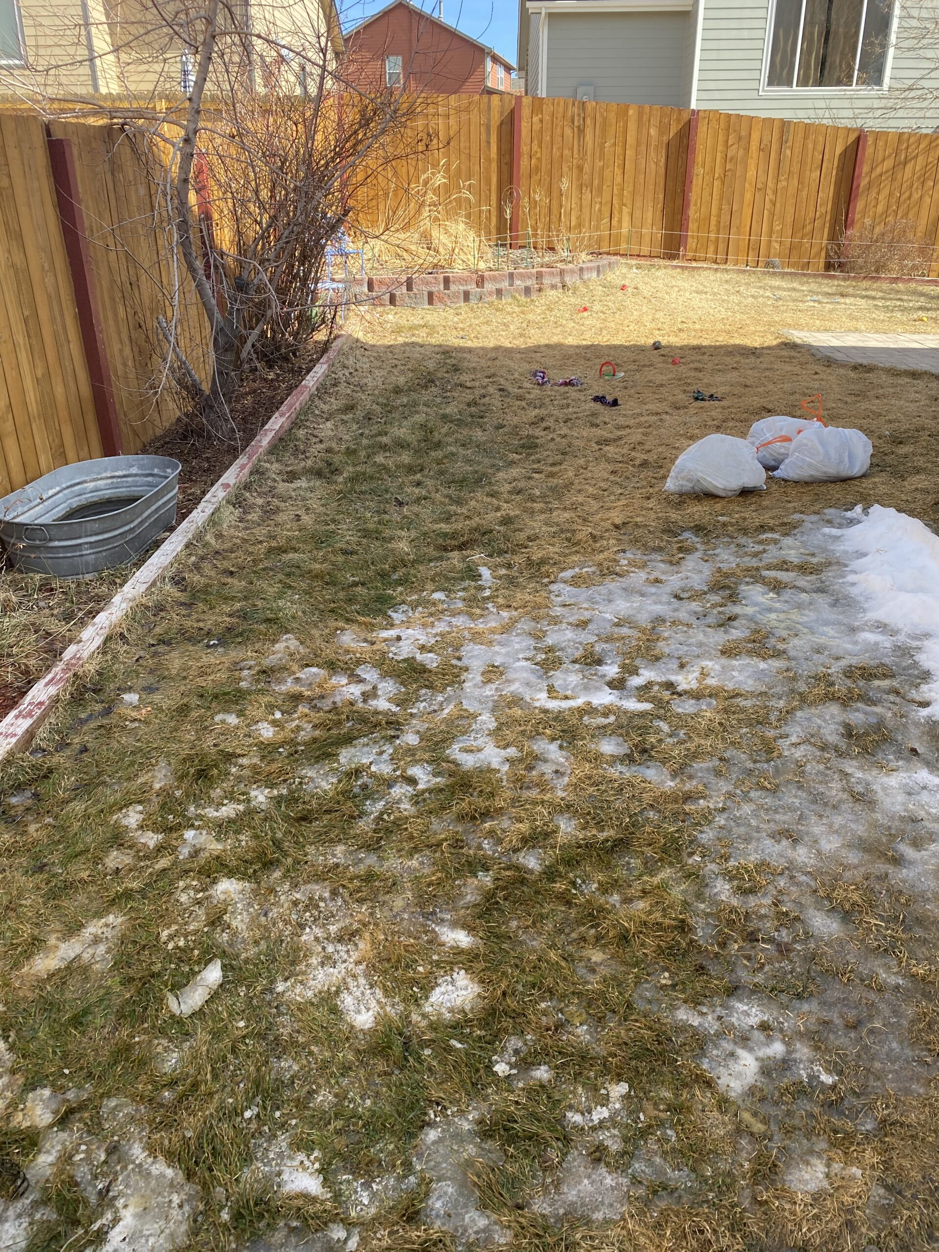 Pooper Scooper Service Castle Rock It's Time To Clean Your Yard