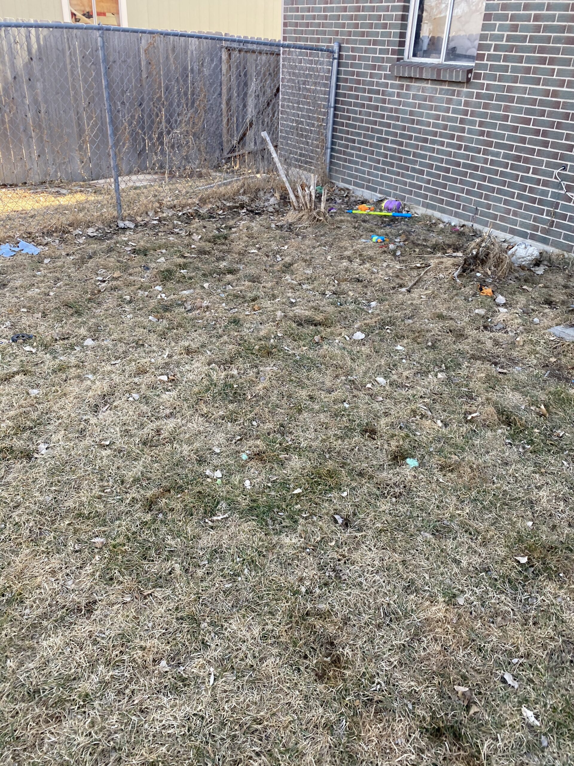 Pooper Scooper Service Castle Rock It's Time To Clean Your Yard