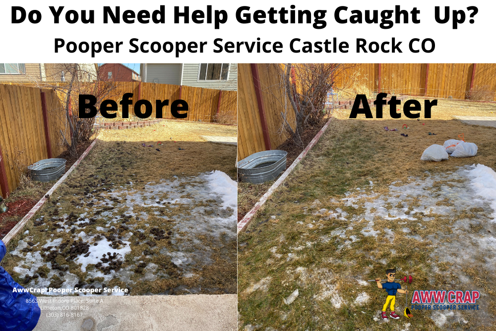 Pooper Scooper Service Castle Rock It's Time To Clean Your Yard
