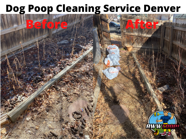 AwwCrap! Pooper Scooper Service Denver NOW OPEN! Pooper Scooper