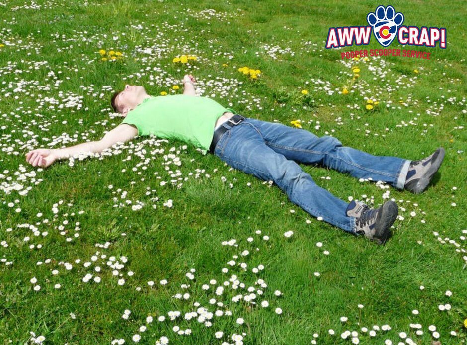 1477e1f65bda1e43457b04792d3322db - Pooper Scooper Service | Lawn Mowing Service A person is lying on a grassy field scattered with white flowers, with a funny graphic logo added in the upper right corner.
