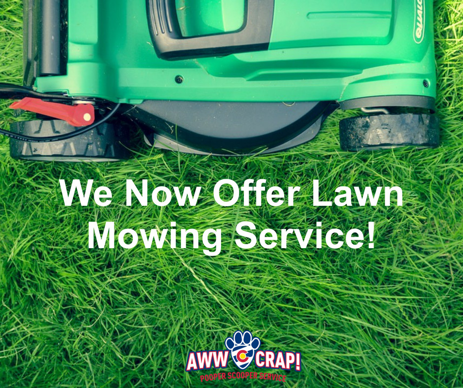 A lawn mower on grass with text advertising a new lawn mowing service.