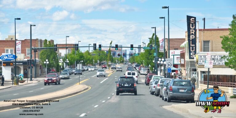 A busy urban street scene with multiple lanes of traffic, various storefronts, and street signs under a clear sky.