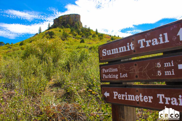 A trailhead sign indicating directions to Summit Trail with a green hill and blue sky in the background.