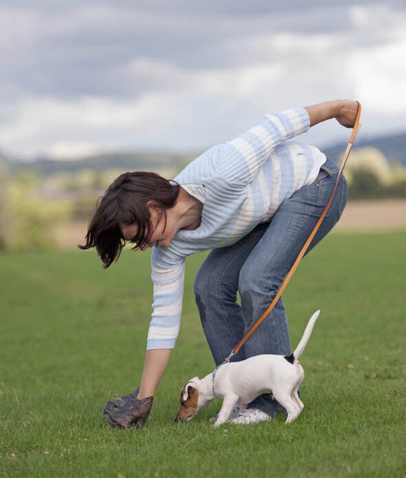 A woman is bending over to pick something up from the grass while holding a leash attached to a small white dog.