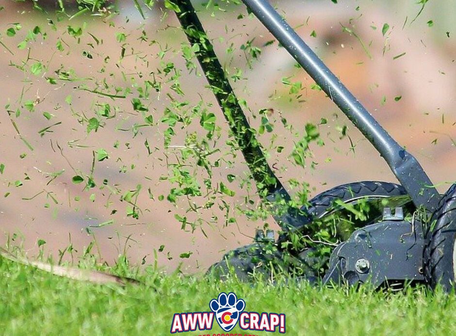 A lawnmower is cutting grass, projecting clippings into the air, with a playful business logo for a pooper scooper service superimposed on the image.