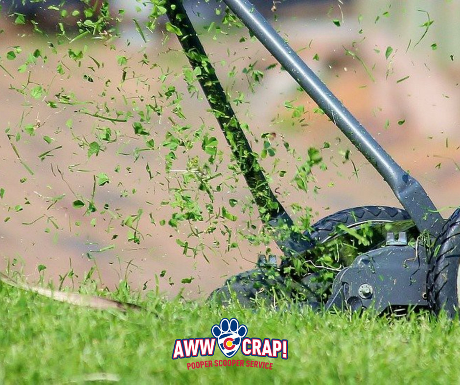 A lawnmower is cutting grass, projecting clippings into the air, with a playful business logo for a pooper scooper service superimposed on the image.