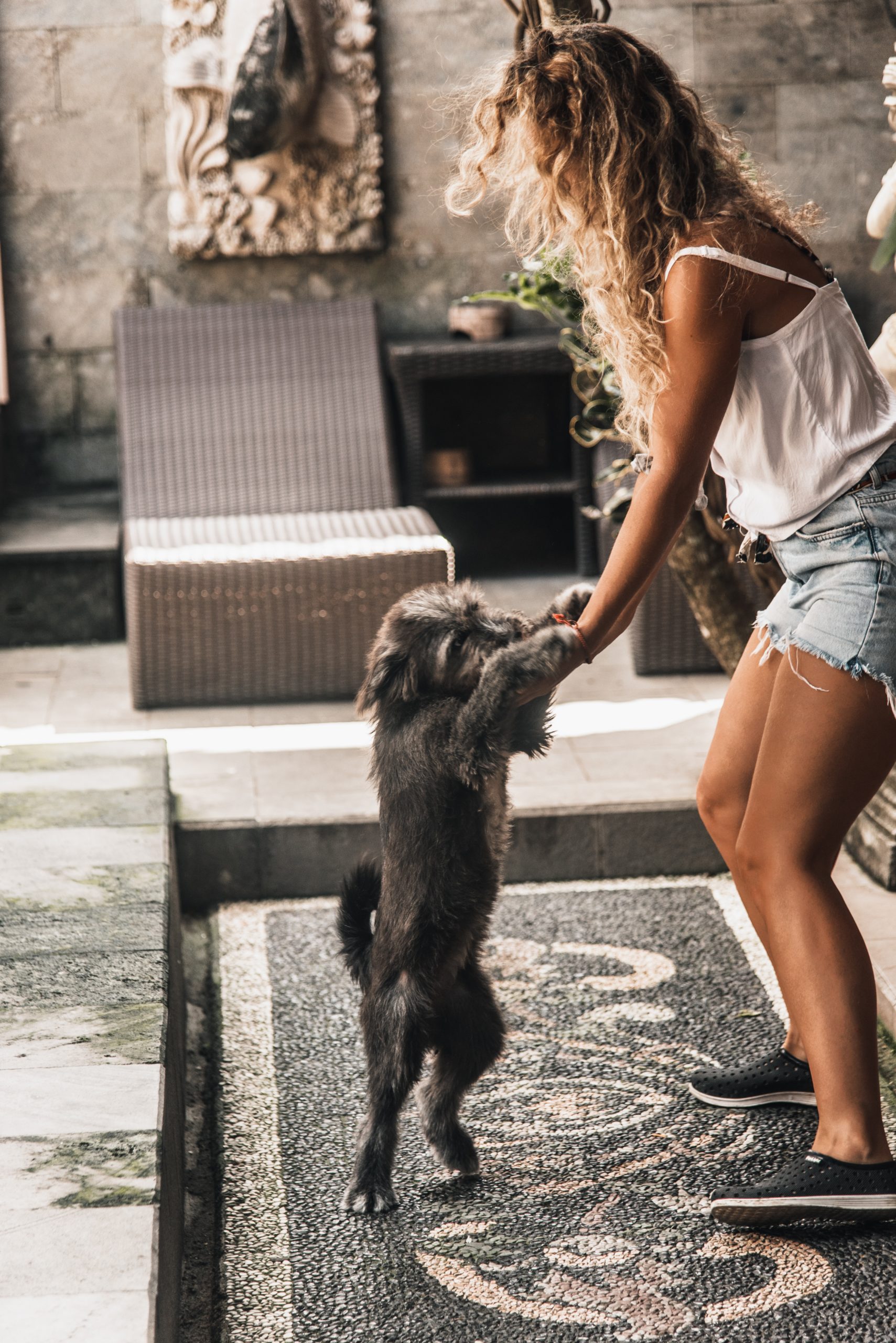 A woman in casual attire is playfully interacting with a happy dog standing on its hind legs in an outdoor setting with intricate stone carvings in the background.