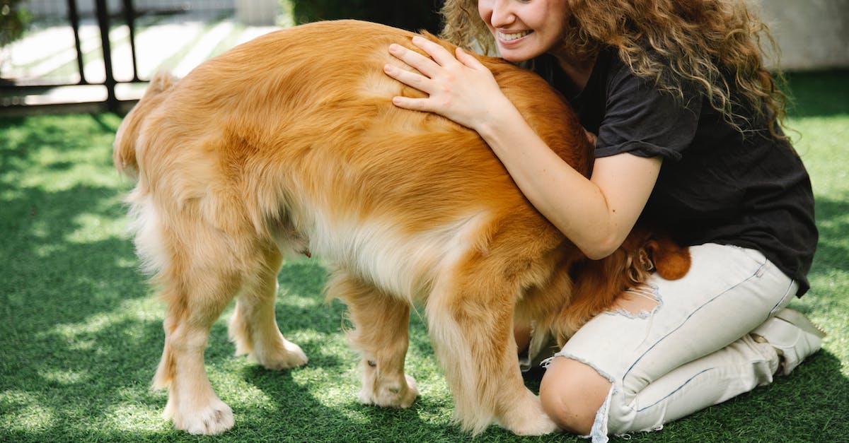 A smiling person is hugging a happy golden retriever outdoors on grass.