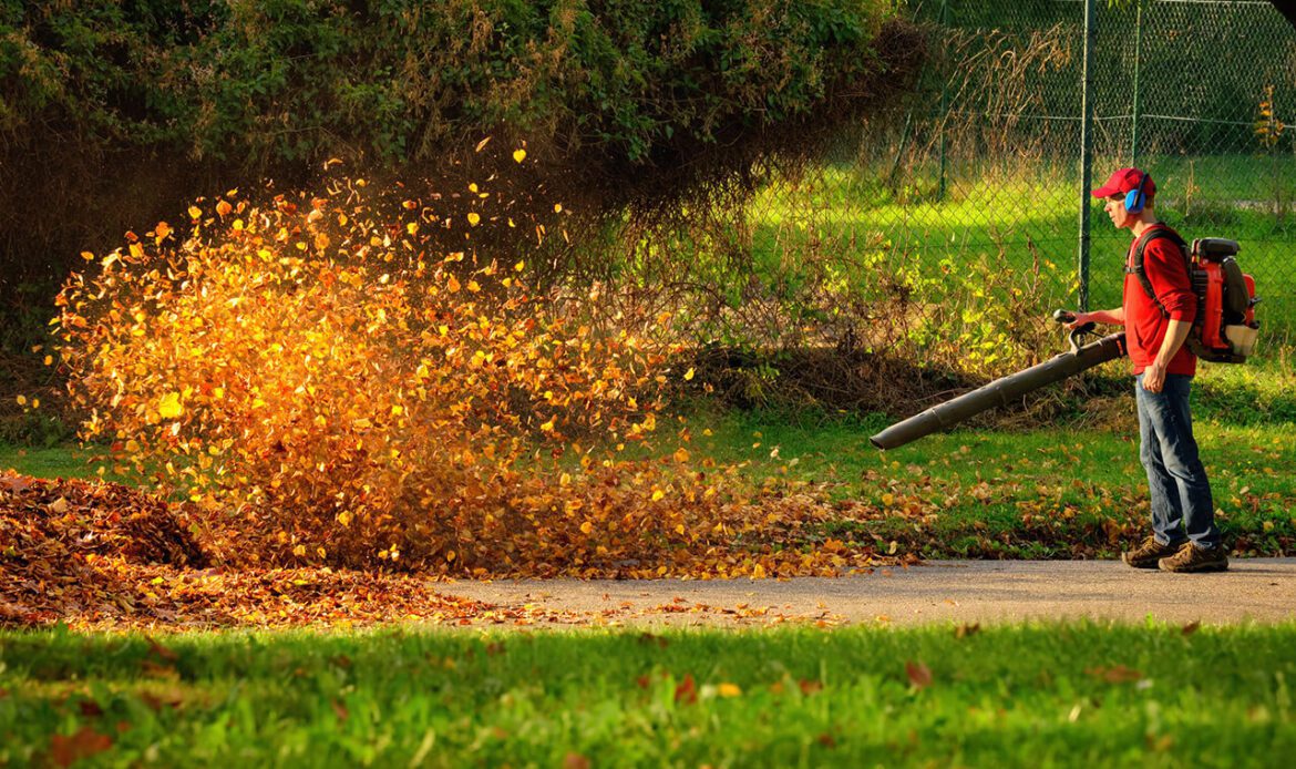 leaf blower blowing leaves