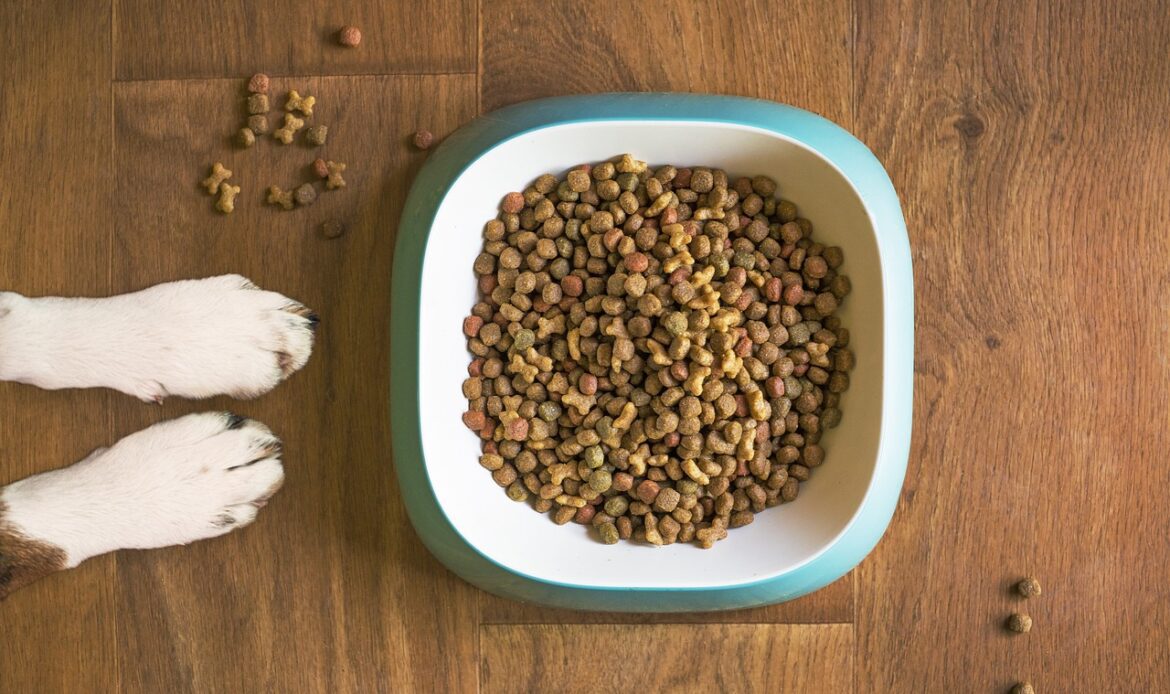 A dog's paws are visible beside a bowl filled with dry pet food on a wooden floor.