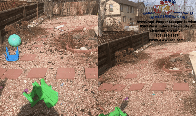 dog poop cleanup service