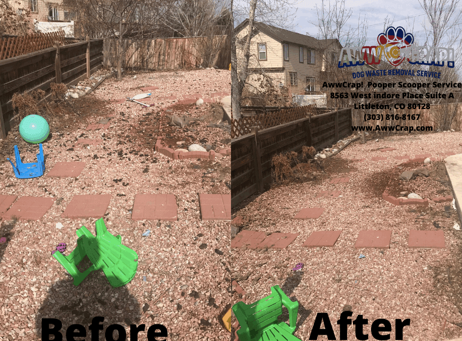 dog poop cleanup service